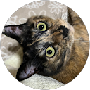 窓をあけて profile picture
